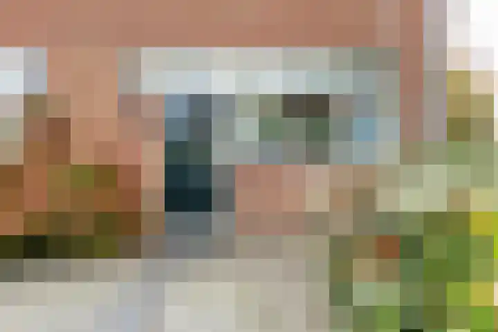 De Krommert 62 Oosthuizen thumbnail 6