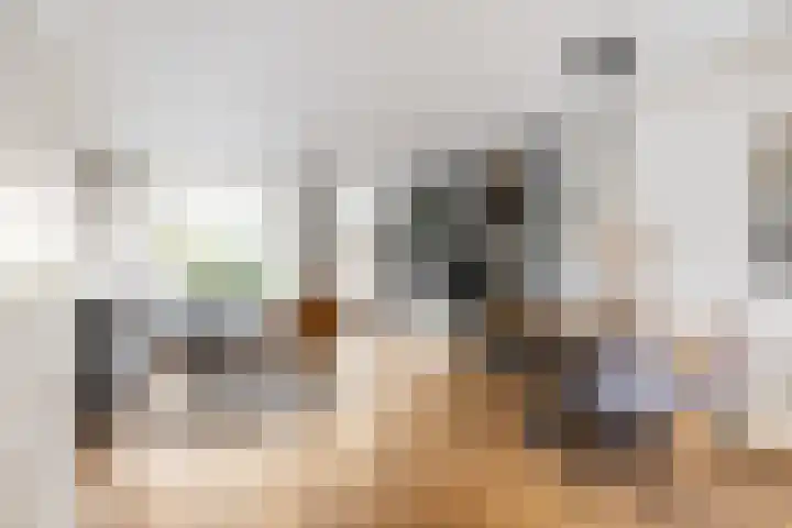 De Krommert 62 Oosthuizen thumbnail 9