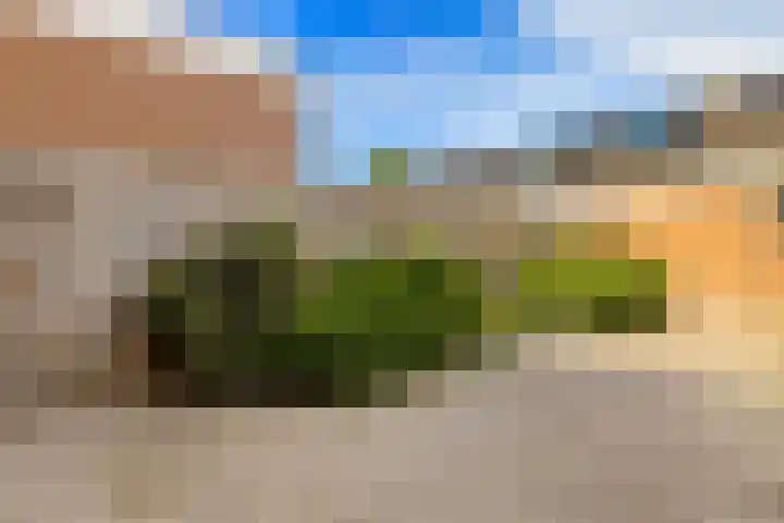 De Krommert 67 Oosthuizen thumbnail 11