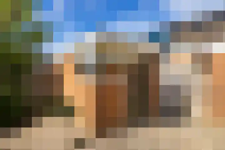 De Krommert 67 Oosthuizen thumbnail 12