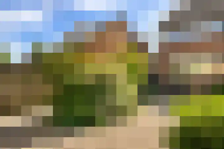 De Krommert 67 Oosthuizen thumbnail 14
