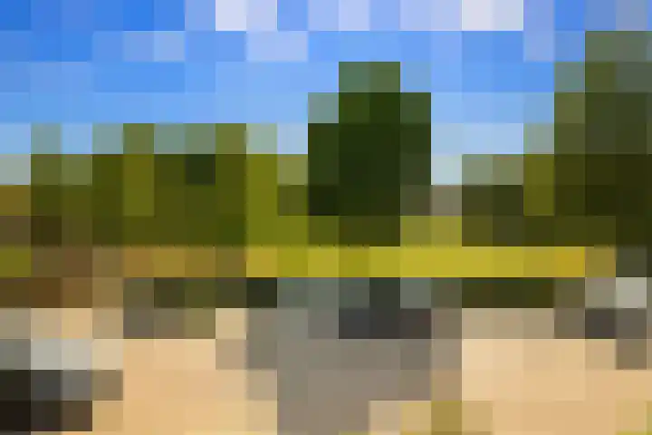 De Krommert 67 Oosthuizen thumbnail 29