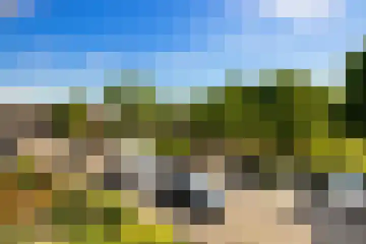 De Krommert 67 Oosthuizen thumbnail 30
