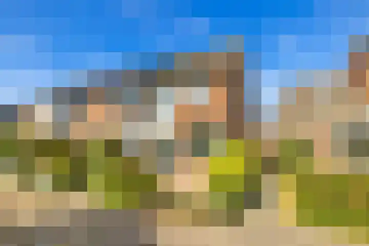De Krommert 67 Oosthuizen thumbnail 36