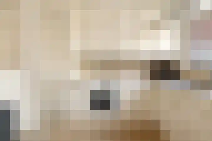 De Krommert 67 Oosthuizen thumbnail 8