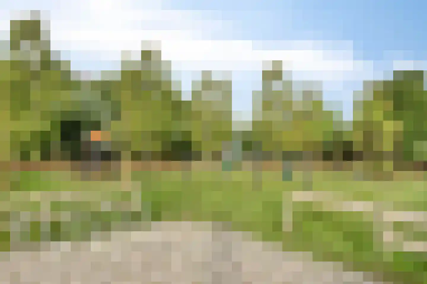 De Krommert 68 Oosthuizen thumbnail 32