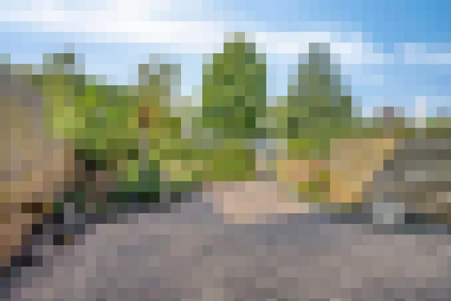 De Krommert 68 Oosthuizen thumbnail 6