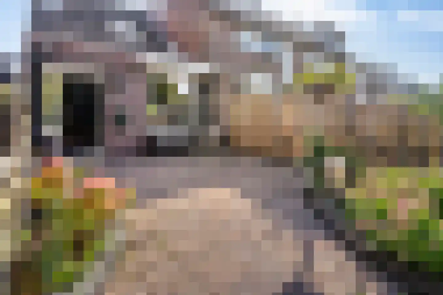 De Krommert 68 Oosthuizen thumbnail 8