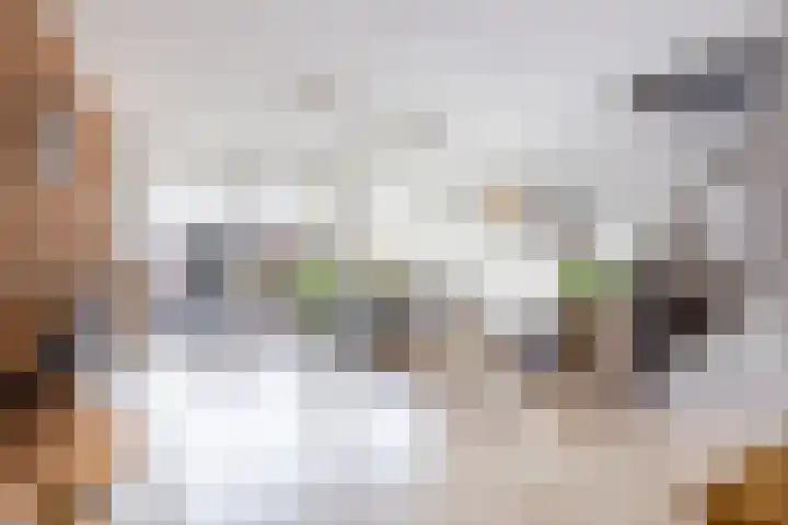 De Krommert 77 Oosthuizen thumbnail 11