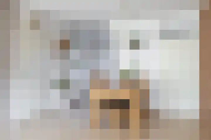 De Krommert 77 Oosthuizen thumbnail 15