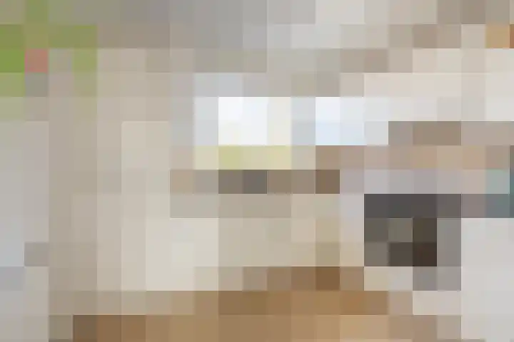 De Krommert 77 Oosthuizen thumbnail 17