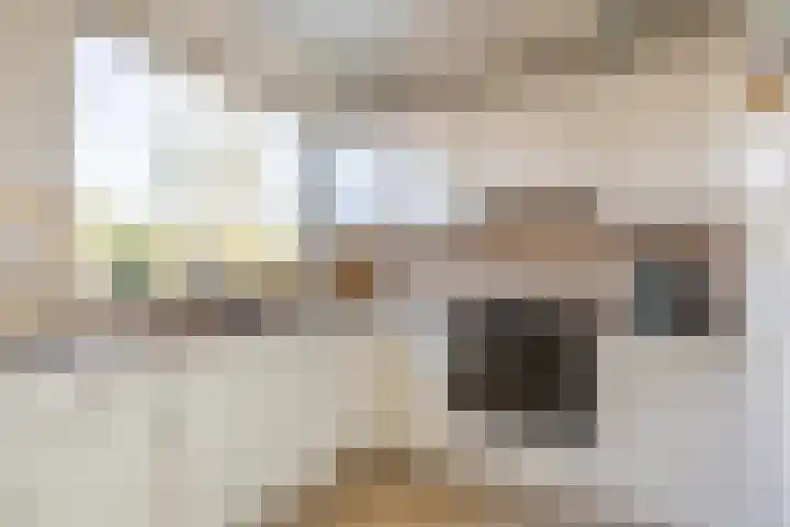 De Krommert 77 Oosthuizen thumbnail 18