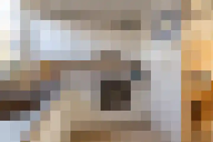 De Krommert 77 Oosthuizen thumbnail 19