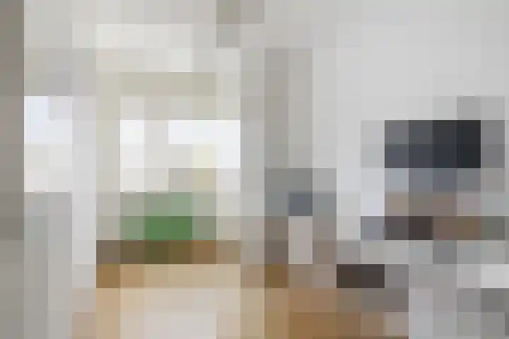 De Krommert 77 Oosthuizen thumbnail 27