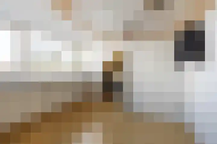 De Krommert 77 Oosthuizen thumbnail 31