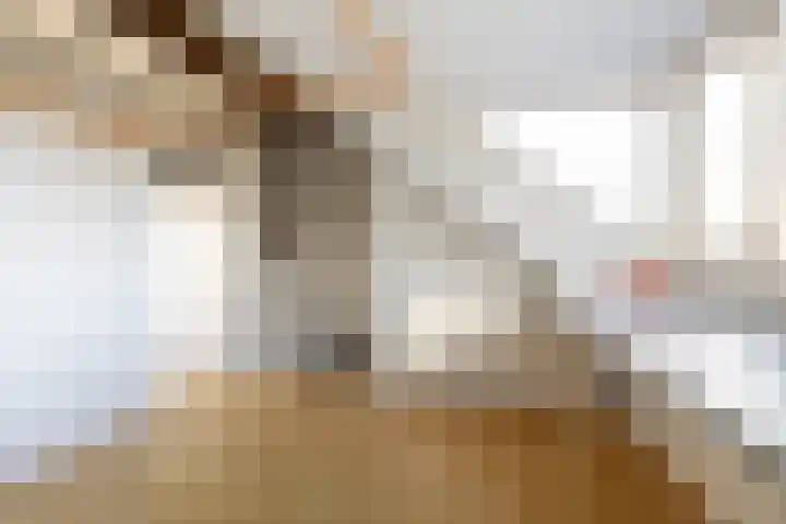 De Krommert 77 Oosthuizen thumbnail 32