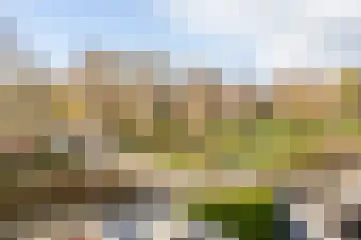 De Krommert 77 Oosthuizen thumbnail 35