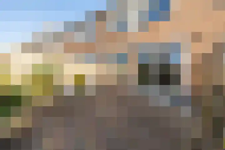 De Krommert 77 Oosthuizen thumbnail 39