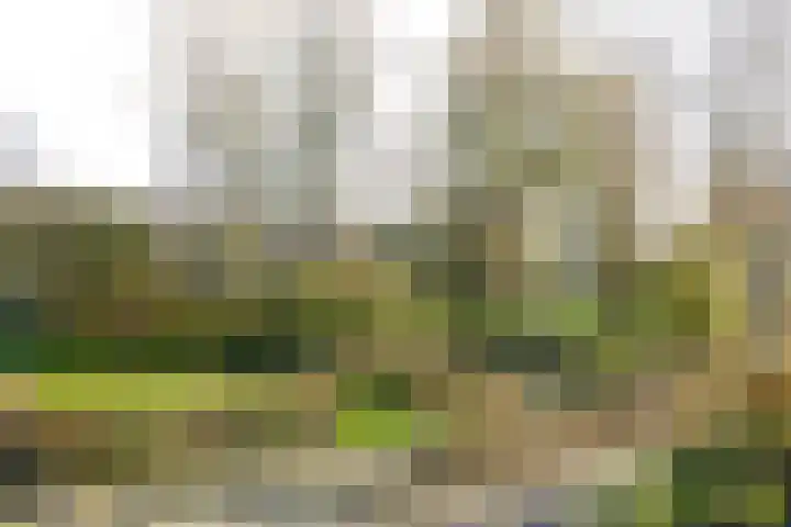 De Krommert 77 Oosthuizen thumbnail 4