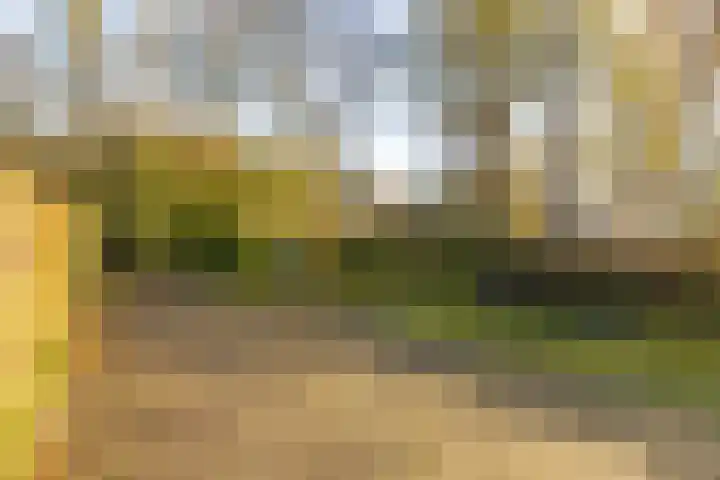 De Krommert 77 Oosthuizen thumbnail 42