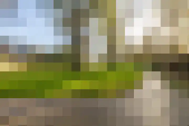 De Krommert 77 Oosthuizen thumbnail 43
