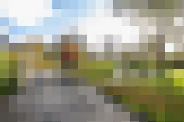 De Krommert 77 Oosthuizen thumbnail 44