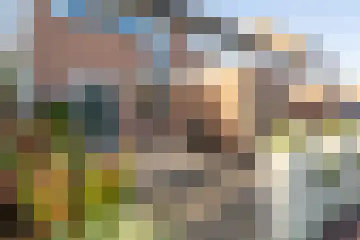 De Krommert 77 Oosthuizen thumbnail 6