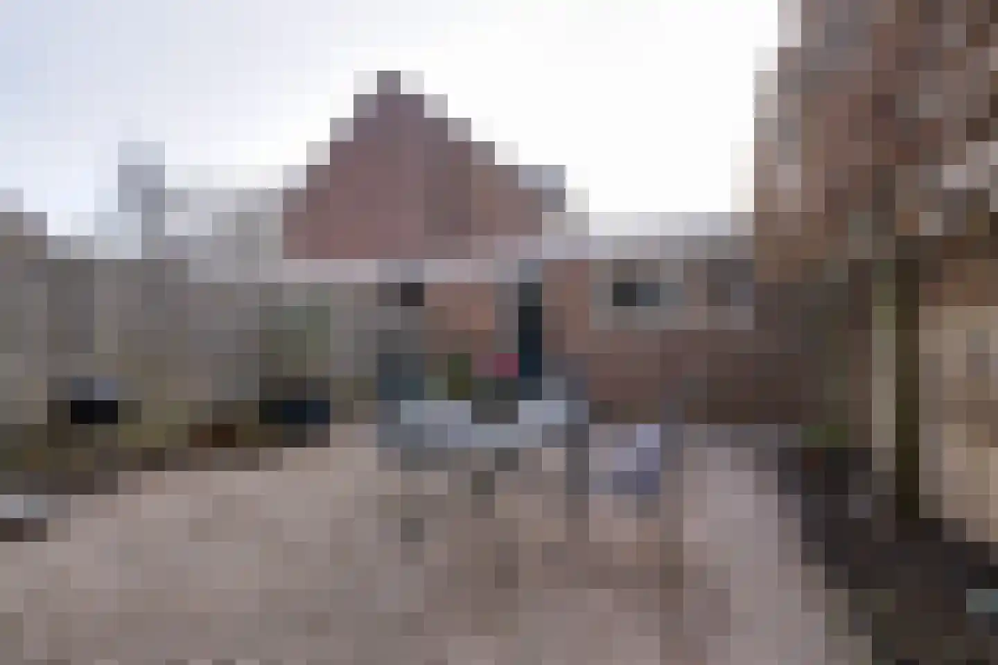 De Krommert 87 Oosthuizen thumbnail 19