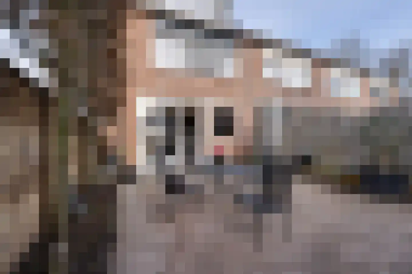 De Krommert 87 Oosthuizen thumbnail 22