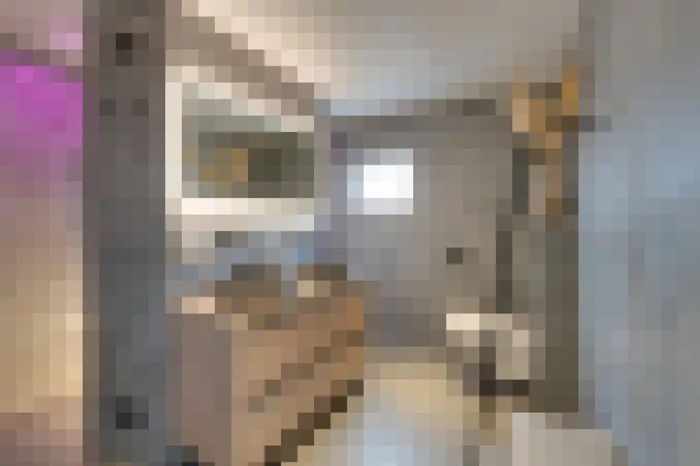 De Krommert 87 Oosthuizen thumbnail 34