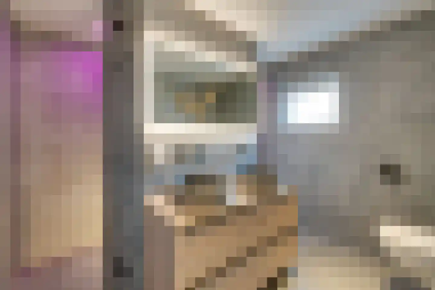 De Krommert 87 Oosthuizen thumbnail 35