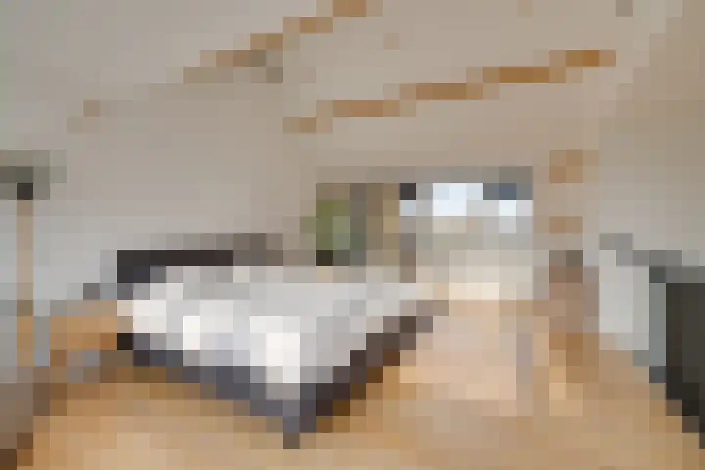 De Krommert 87 Oosthuizen thumbnail 39