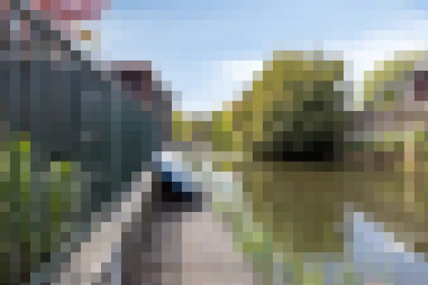 De Krommert 9 Heiloo thumbnail 16