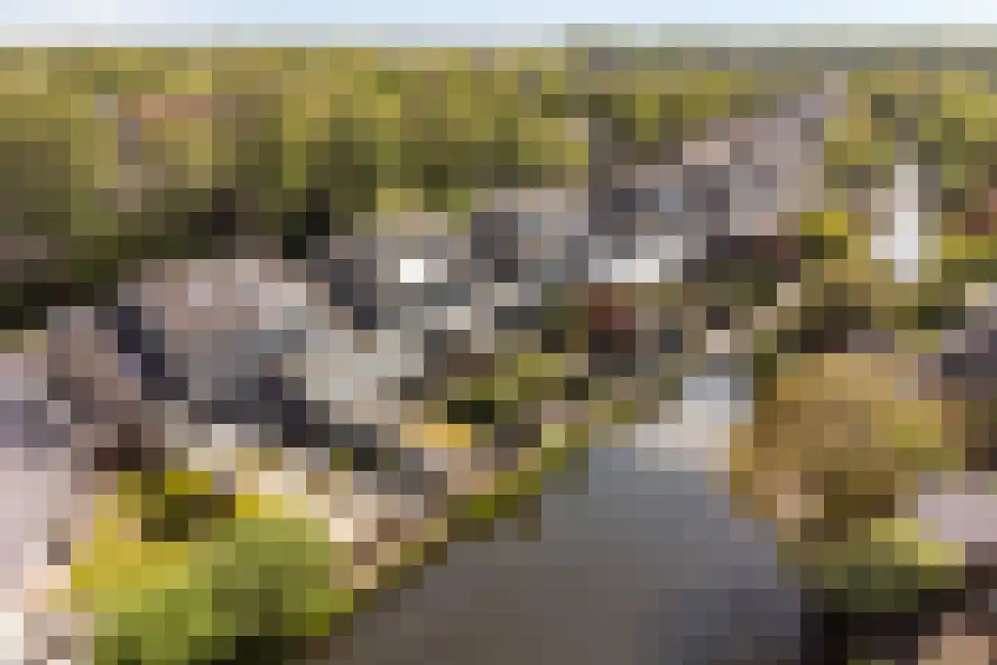 De Krommert 9 Heiloo thumbnail 16