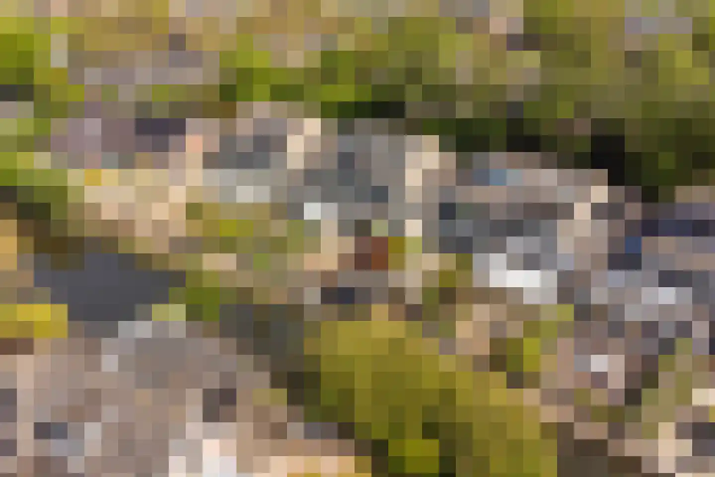 De Krommert 9 Heiloo thumbnail 18