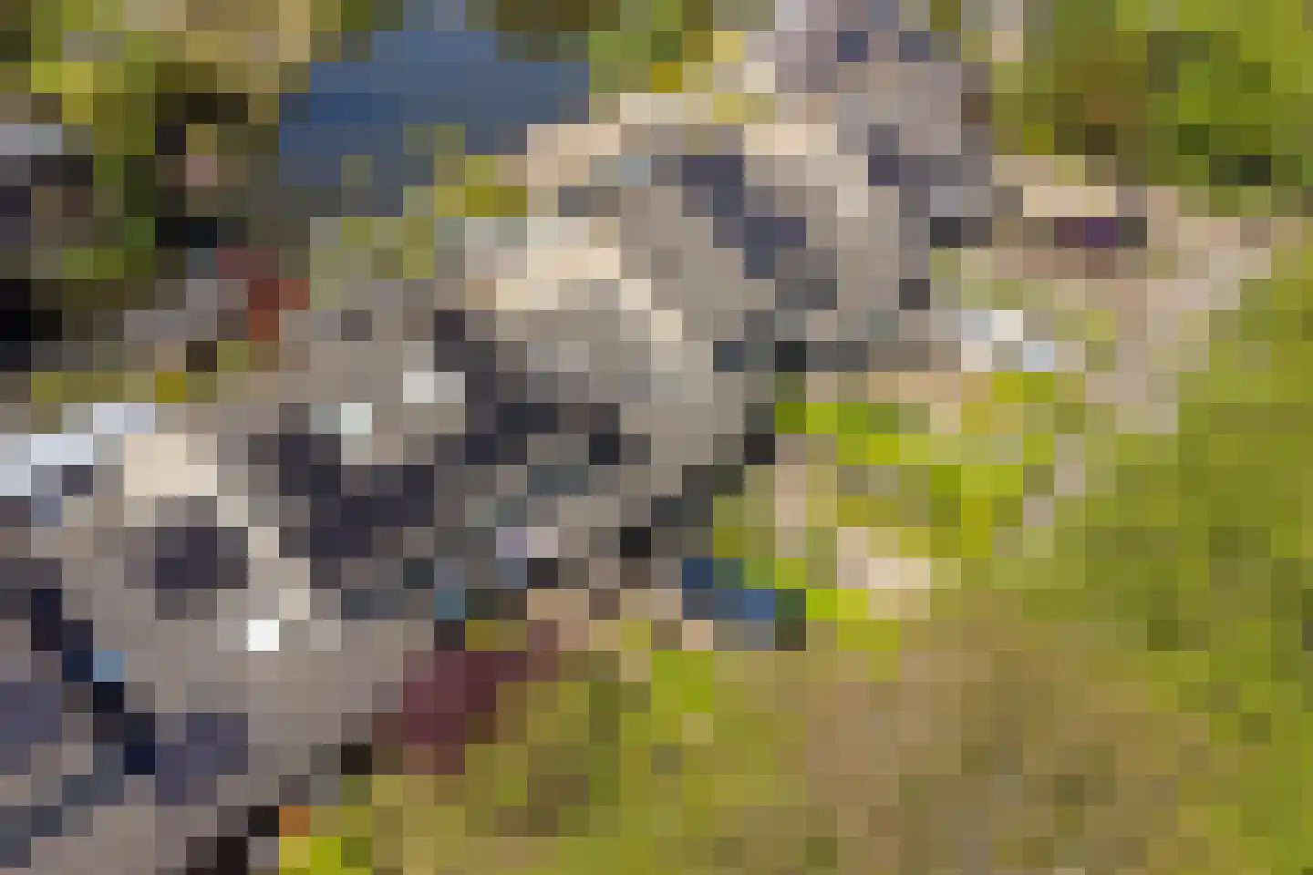 De Krommert 9 Heiloo thumbnail 37