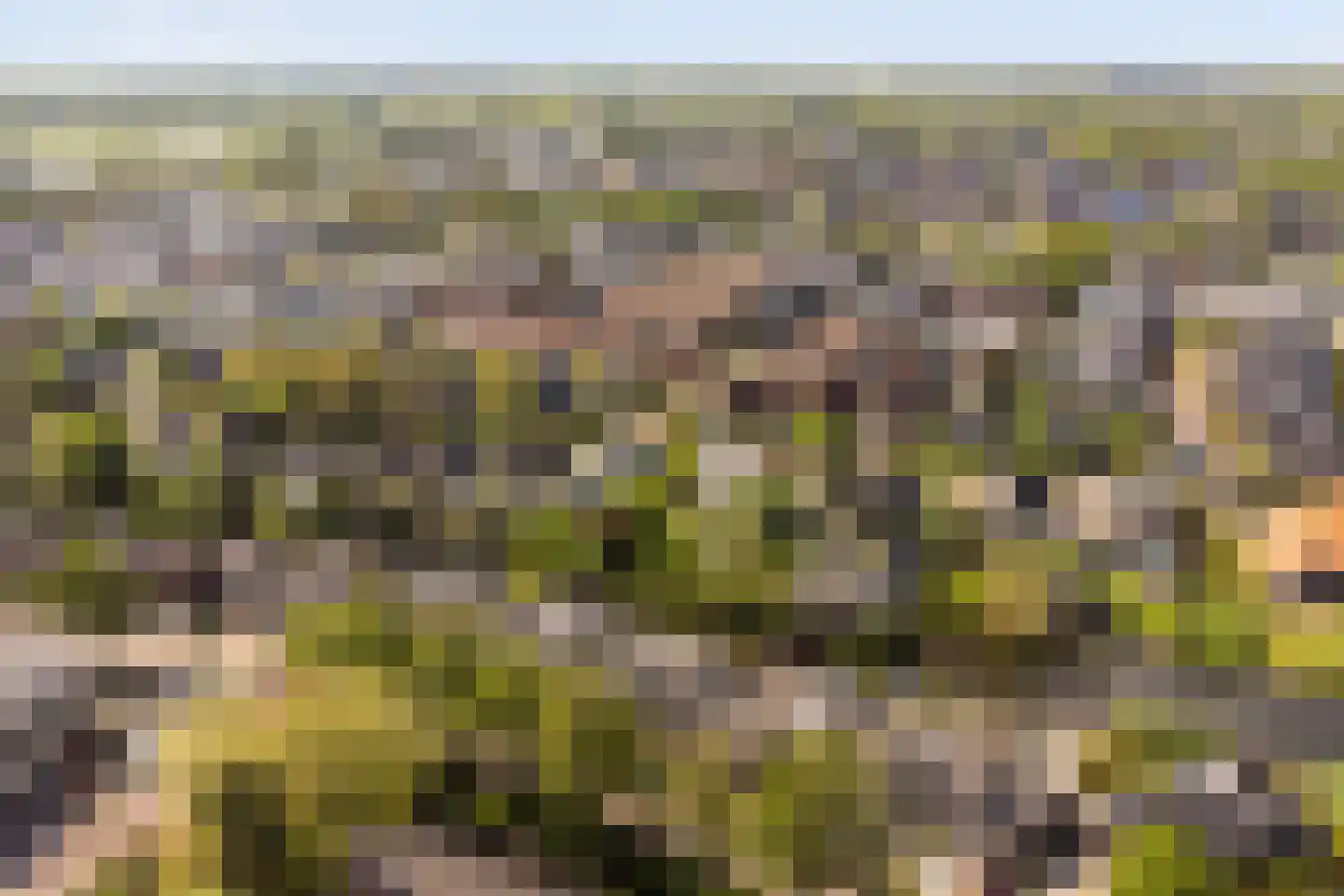 De Krommert 9 Heiloo thumbnail 38