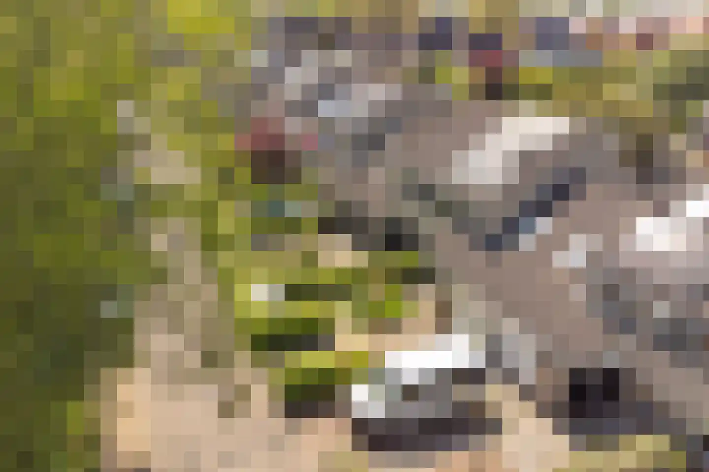 De Krommert 9 Heiloo thumbnail 39