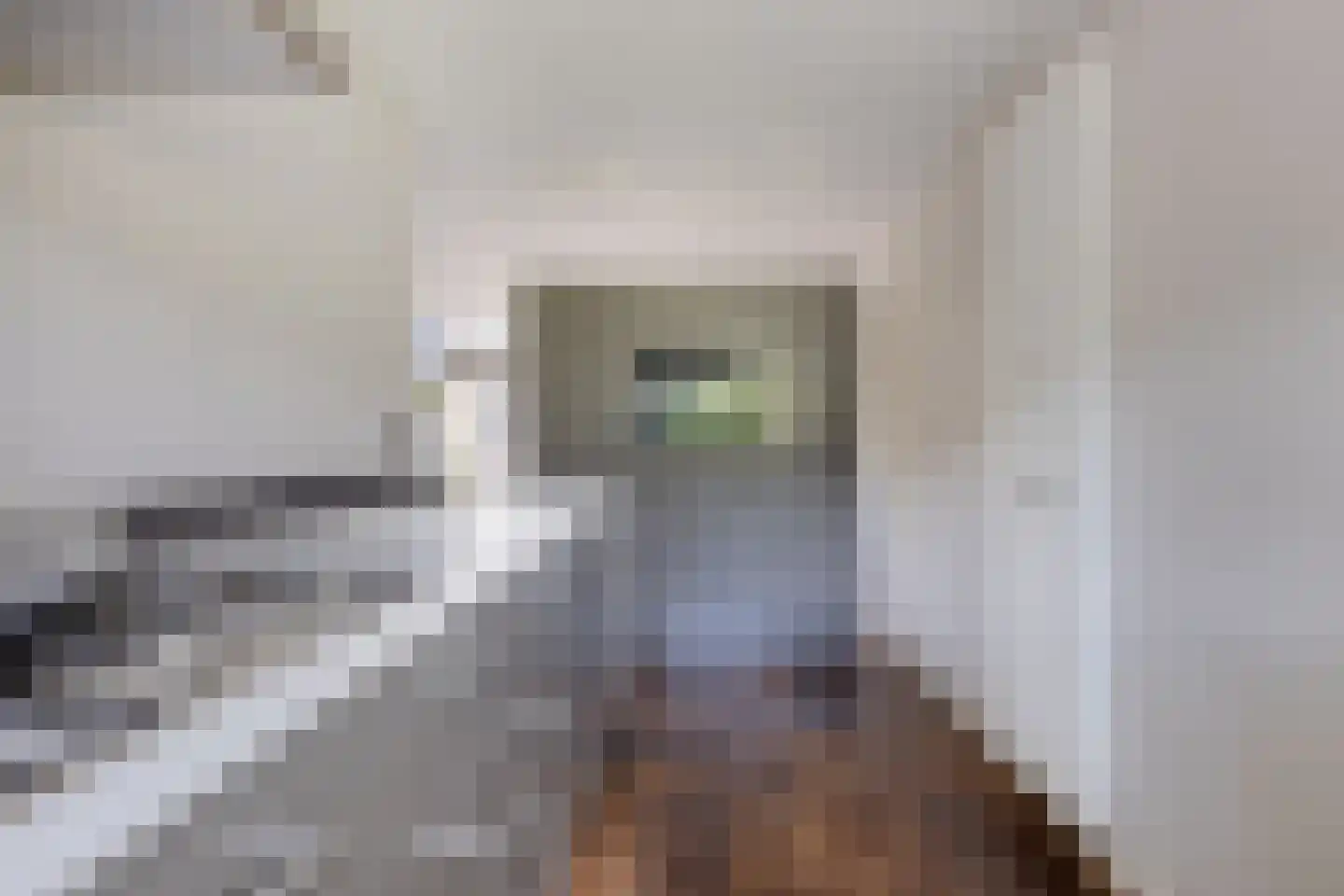 De Krommert 9 Heiloo thumbnail 4