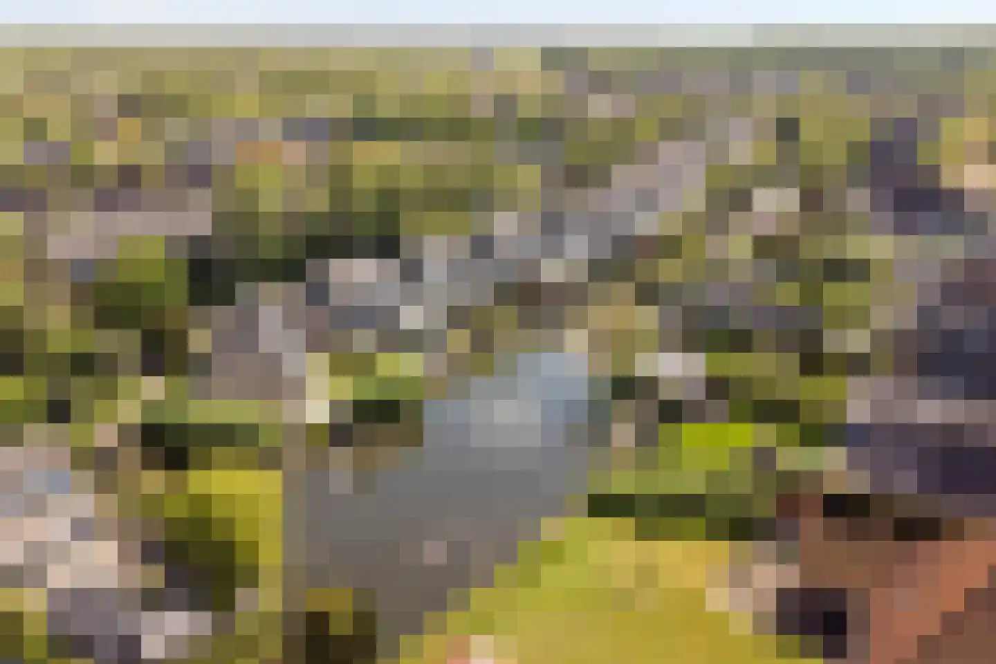 De Krommert 9 Heiloo thumbnail 40