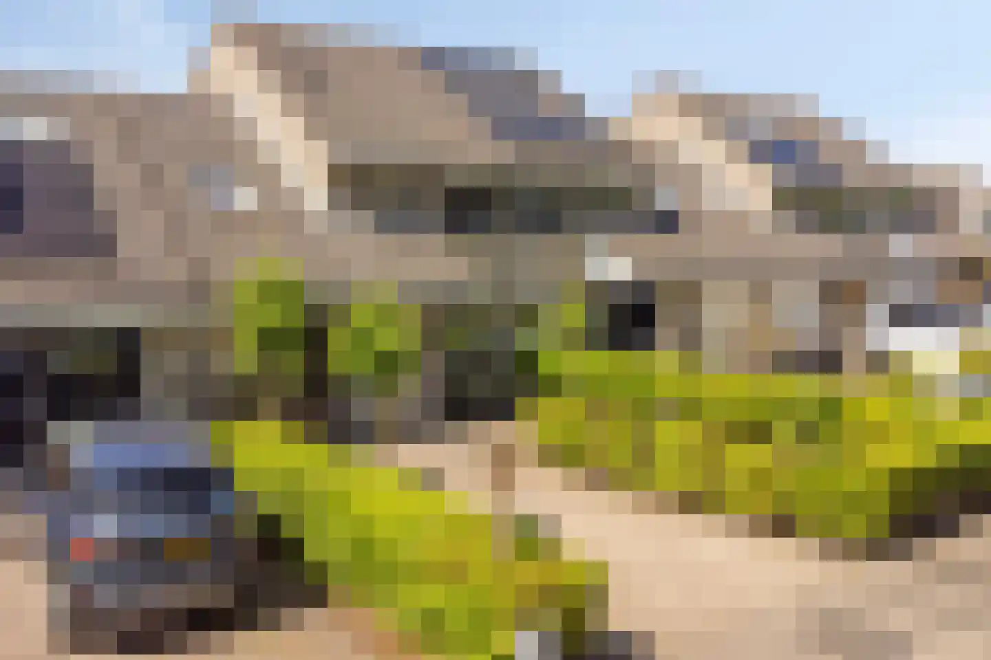 De Krommert 9 Heiloo thumbnail 43