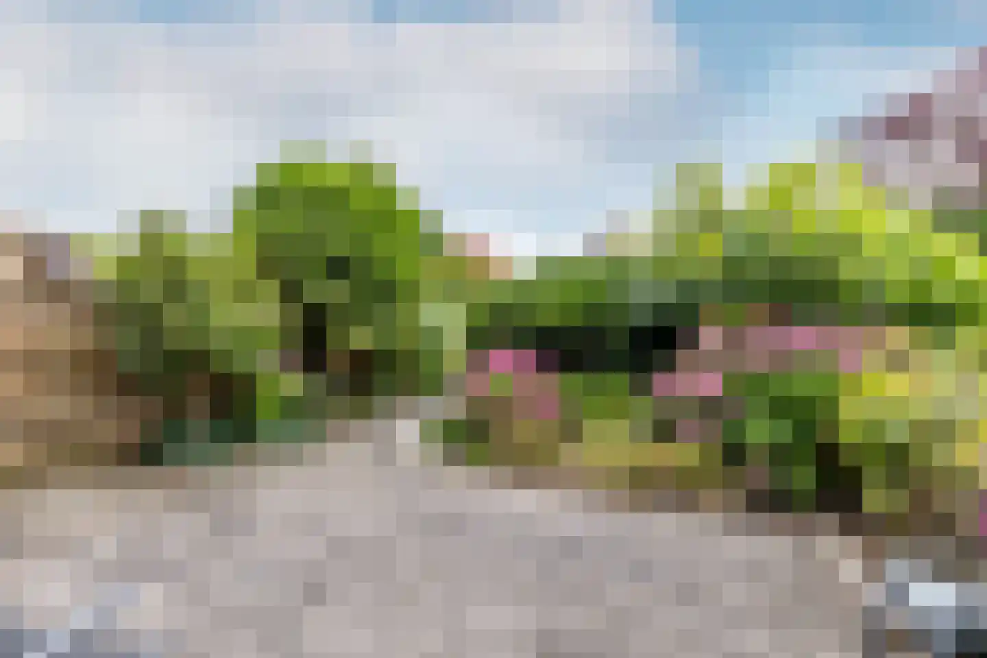 De Krommert 92 Oosthuizen thumbnail 37