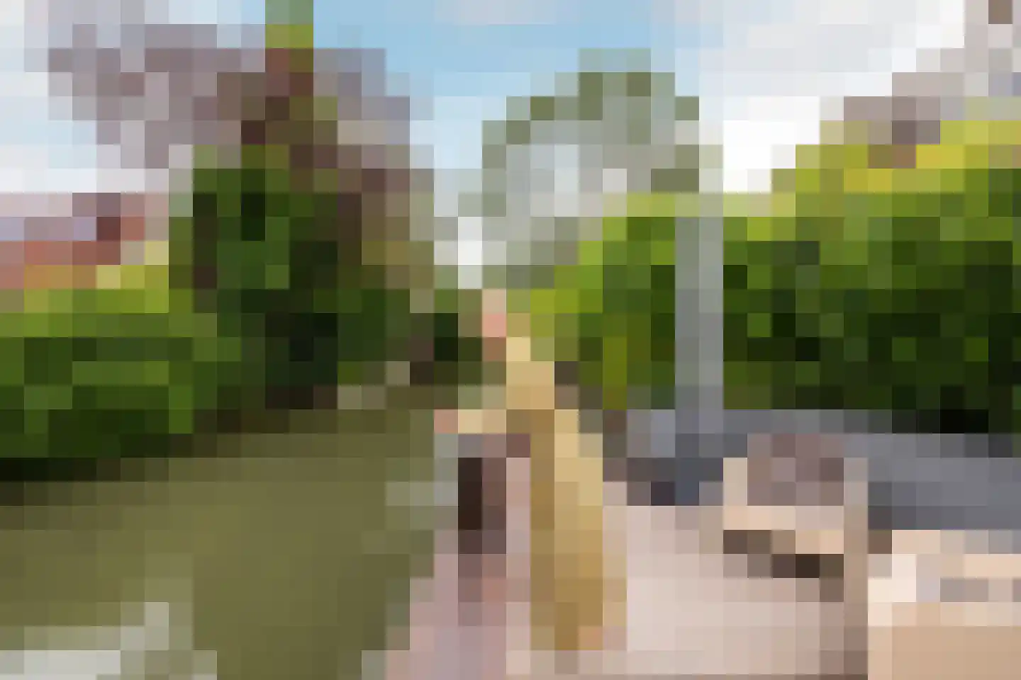 De Krommert 92 Oosthuizen thumbnail 41