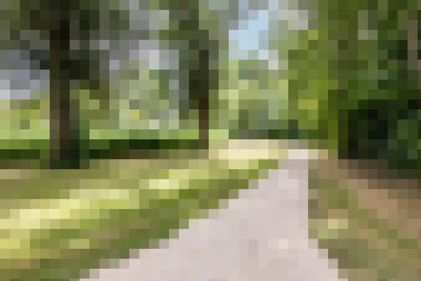 De Krommert 92 Oosthuizen thumbnail 43