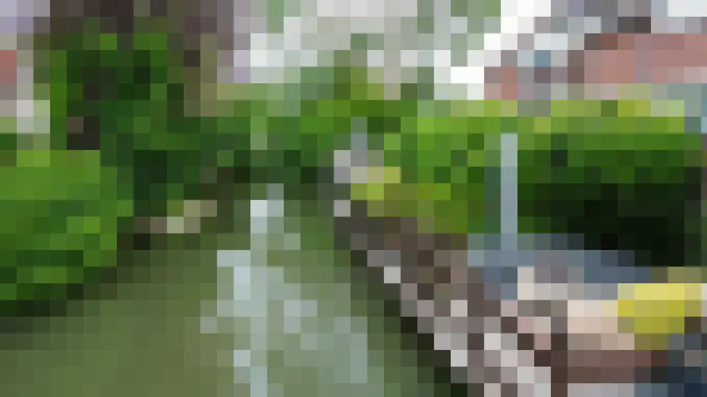 De Krommert 92 Oosthuizen thumbnail 45