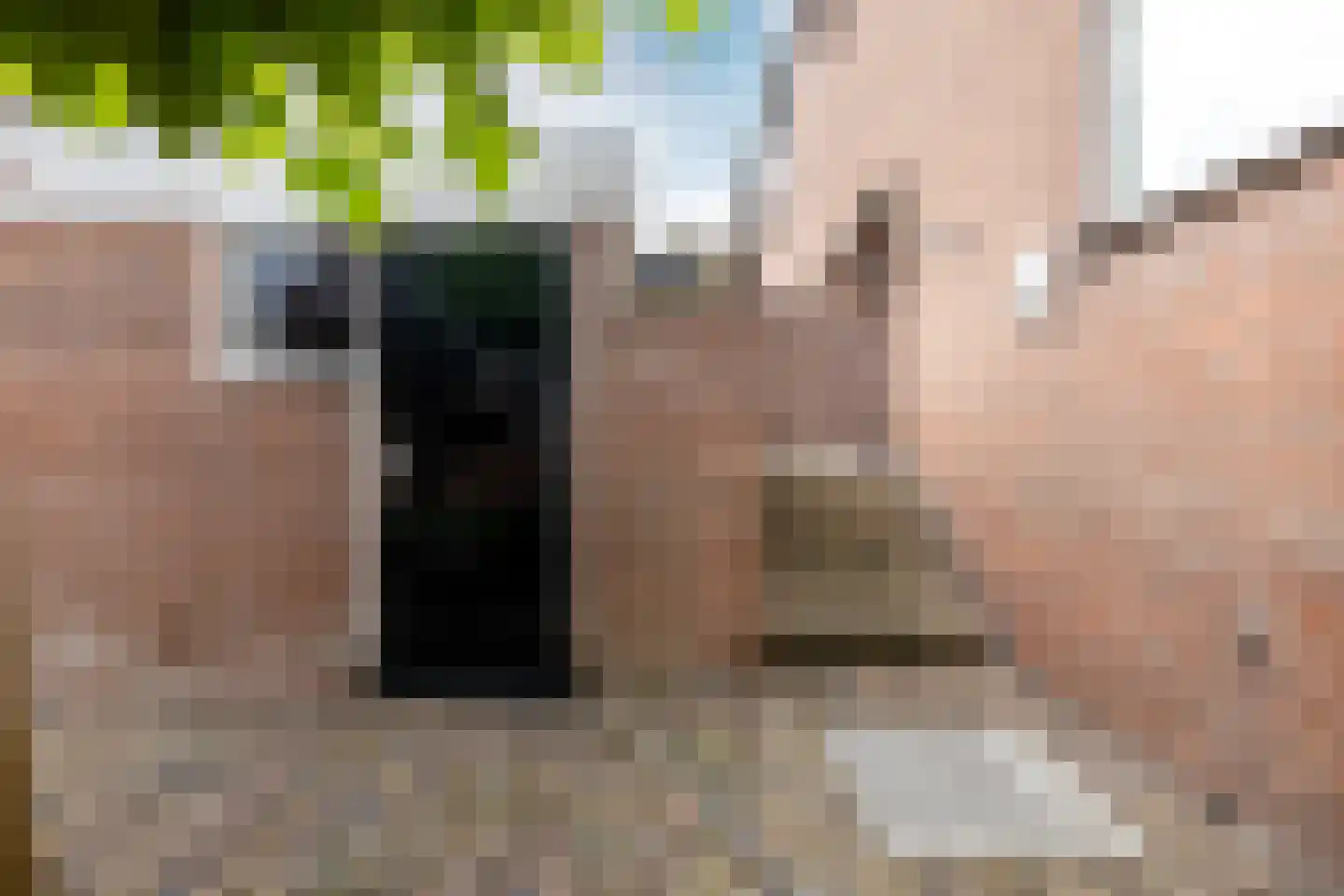 De Krommert 92 Oosthuizen thumbnail 6