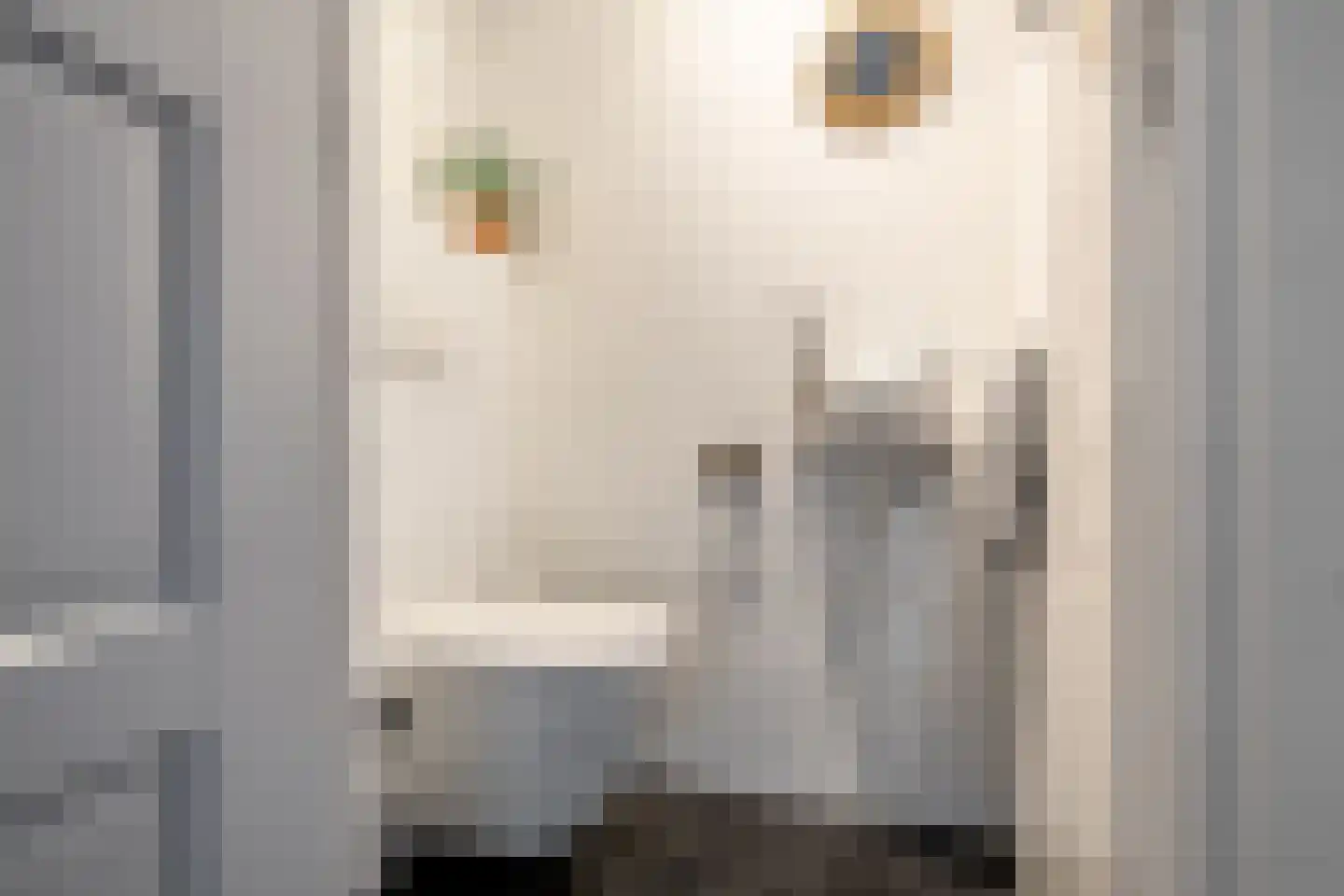 De Krommert 92 Oosthuizen thumbnail 9