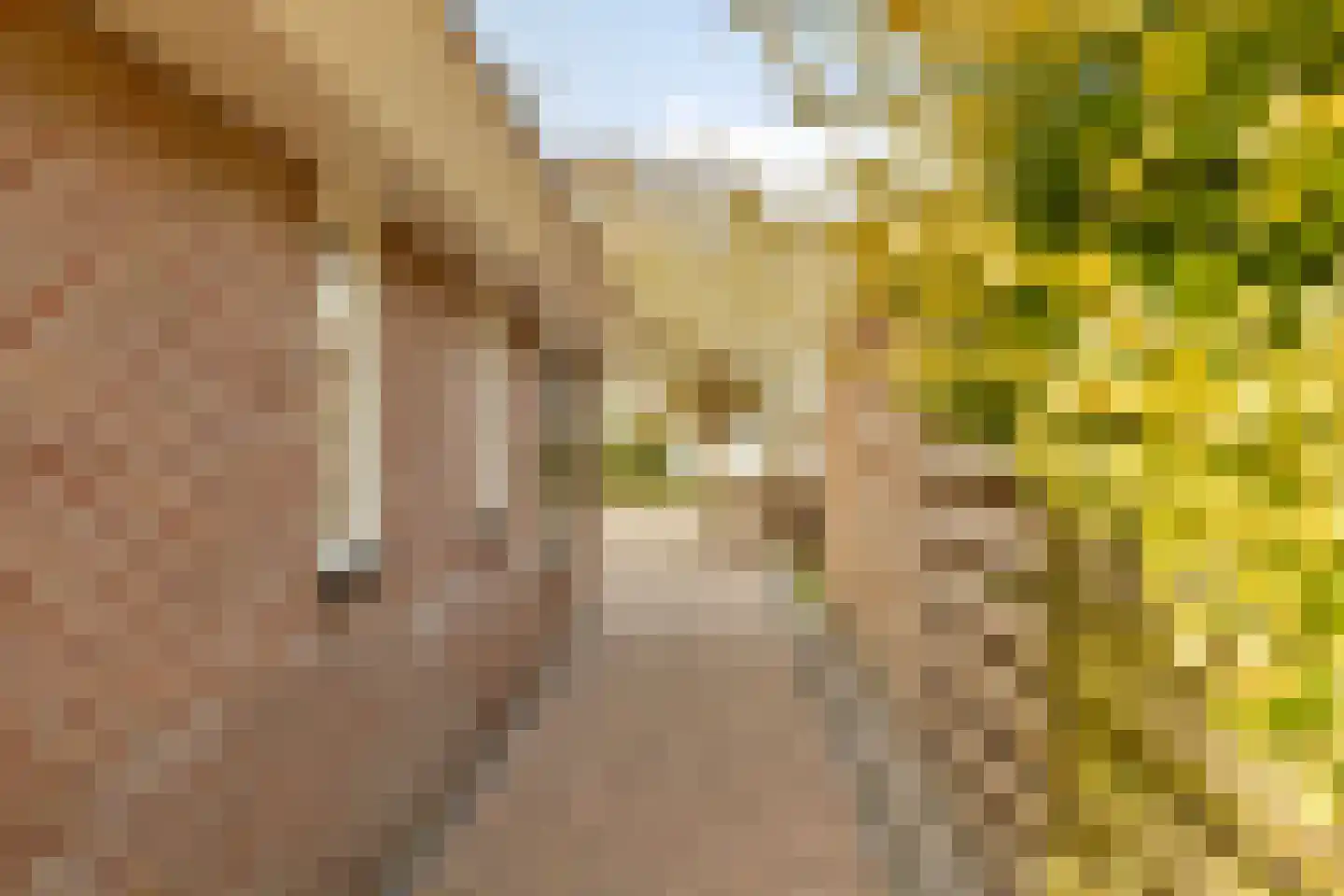 De Kromten 23 Waskemeer thumbnail 60