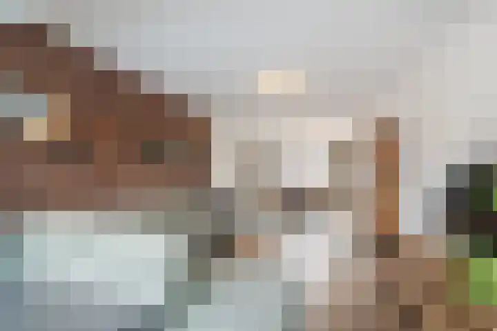 De Kroon 1 Hoogeveen thumbnail 16
