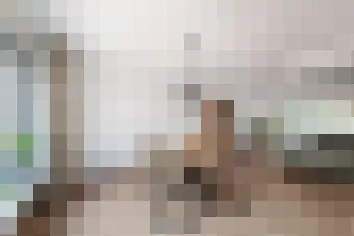 De Kroon 1 Hoogeveen thumbnail 18